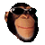 8)